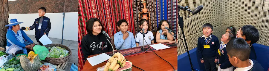 Proyectis Bolivia radio cepja